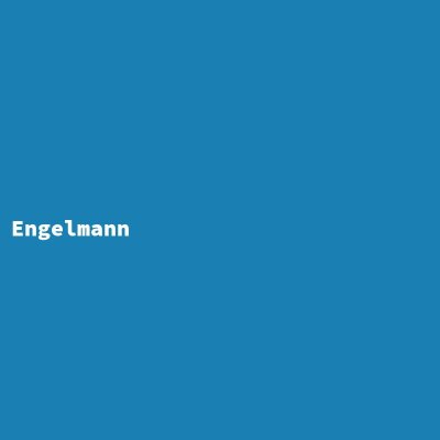 Hersteller: Engelmann