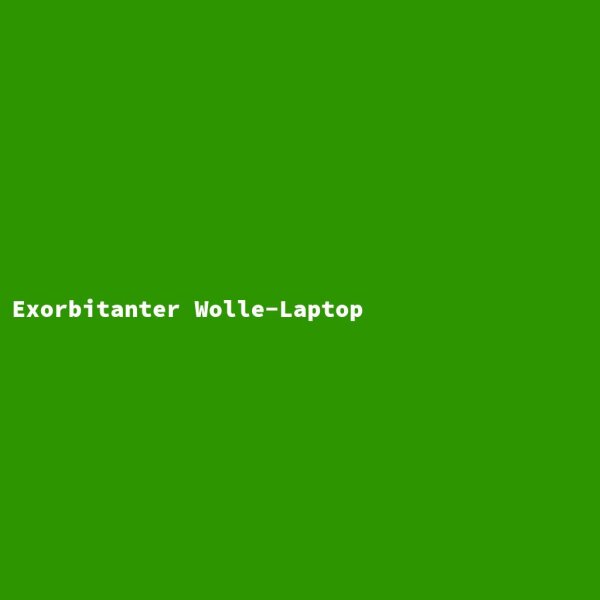 Exorbitanter Wolle-Laptop