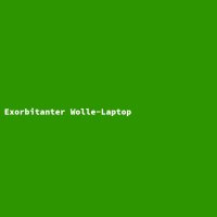 Exorbitanter Wolle-Laptop