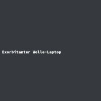 Exorbitanter Wolle-Laptop