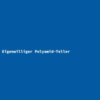 Eigenwilliger Polyamid-Teller